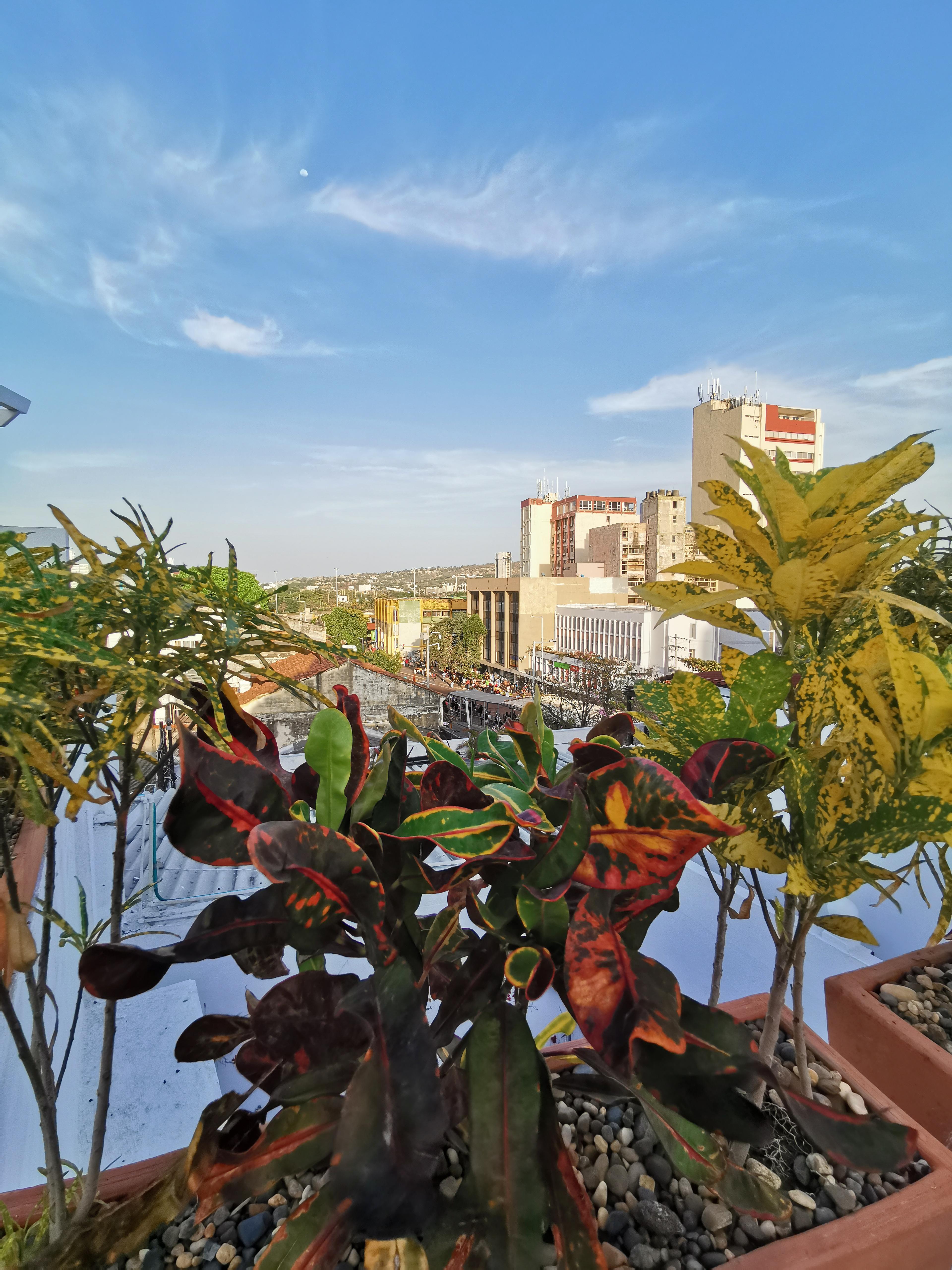 Luka Cartagena Hotel Dış mekan fotoğraf